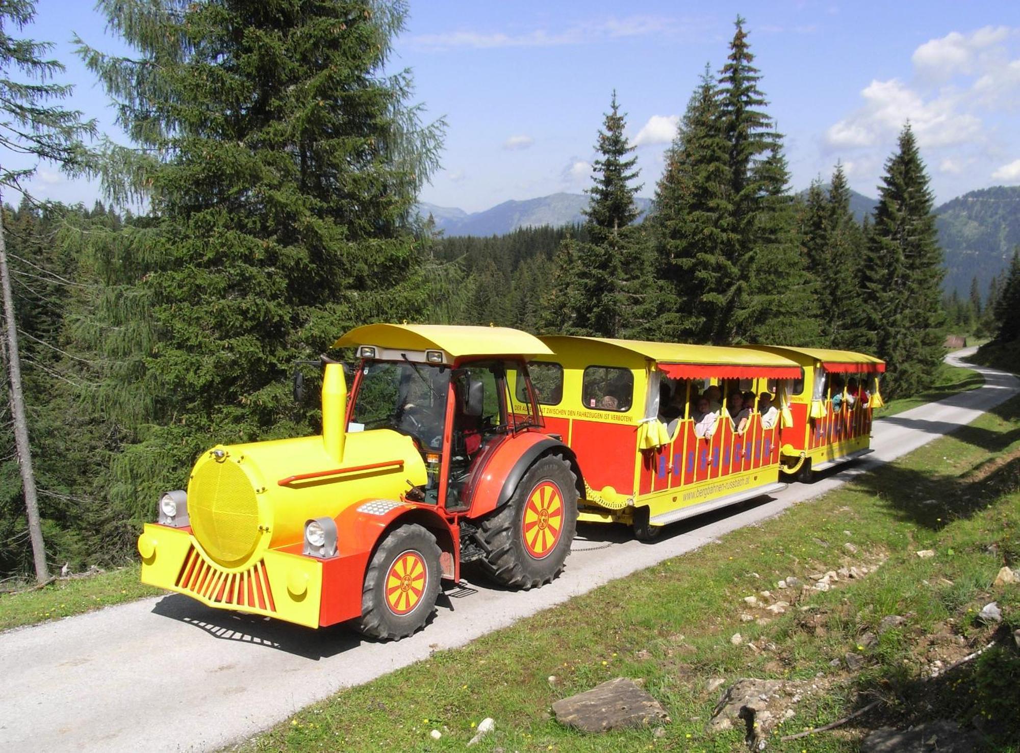 Dachstein West Hotel Gmbh-Kirchenwirt Russbach Русбах-ам-Пас-Ґшютт Екстер'єр фото